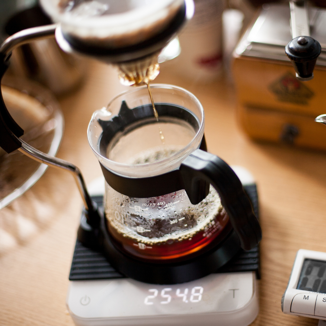 O que é café especial? Entenda o que muda da origem à xícara